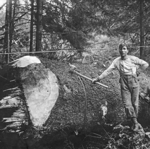 Three generations of arborists — the Pennsylvania Arborists family