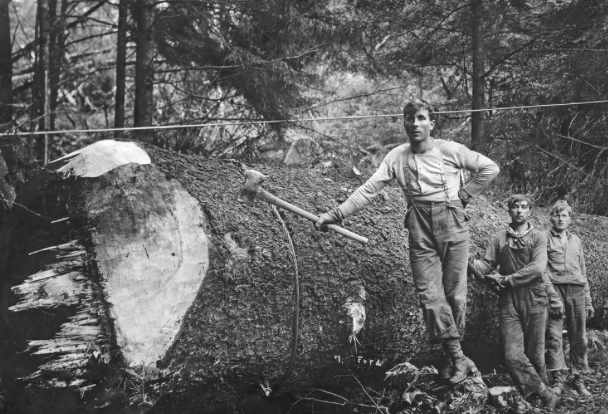Three generations of arborists — the Pennsylvania Arborists family